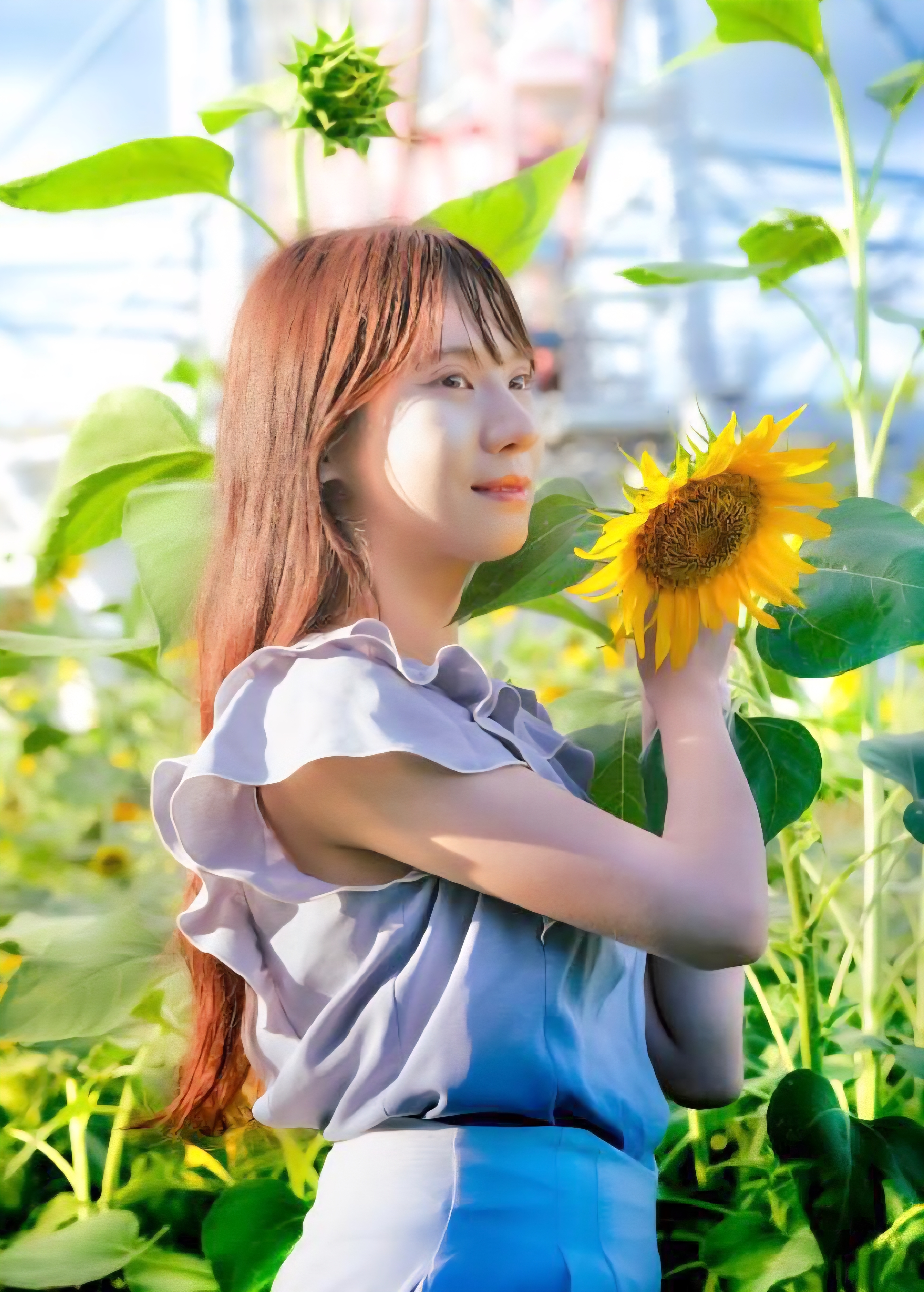 画像4