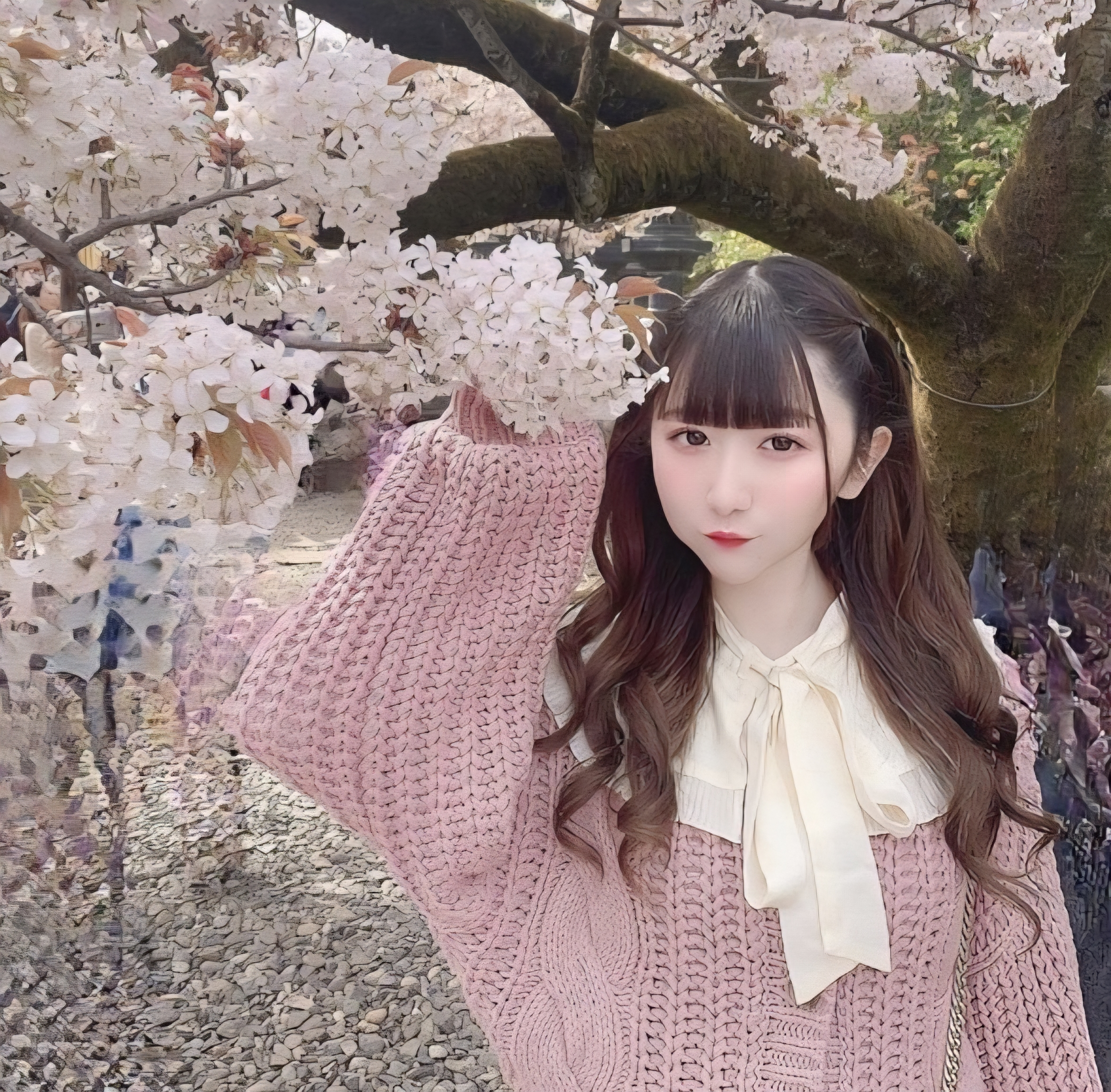 画像4